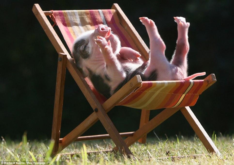Bonnes vacances! Reprise des cours le lundi 31 août!