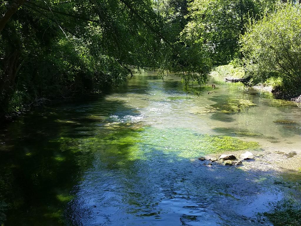 sedget's tweet photo. Une pensée pour @obernasson depuis la #touvre avec @bearnishfly http://t.co/UkRDRju5ZX