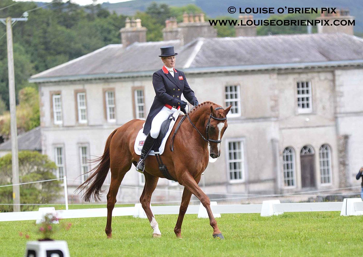 Irish Eventing Times tweet media