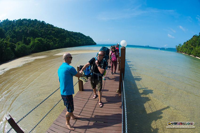 divedownbelow's tweet image. Enter @CampsInt grp #Tarsier @divedownbelow #paradise &amp;amp;D nxt 41 @PADI #DiveCourse participants #Adventure @CampBorneo