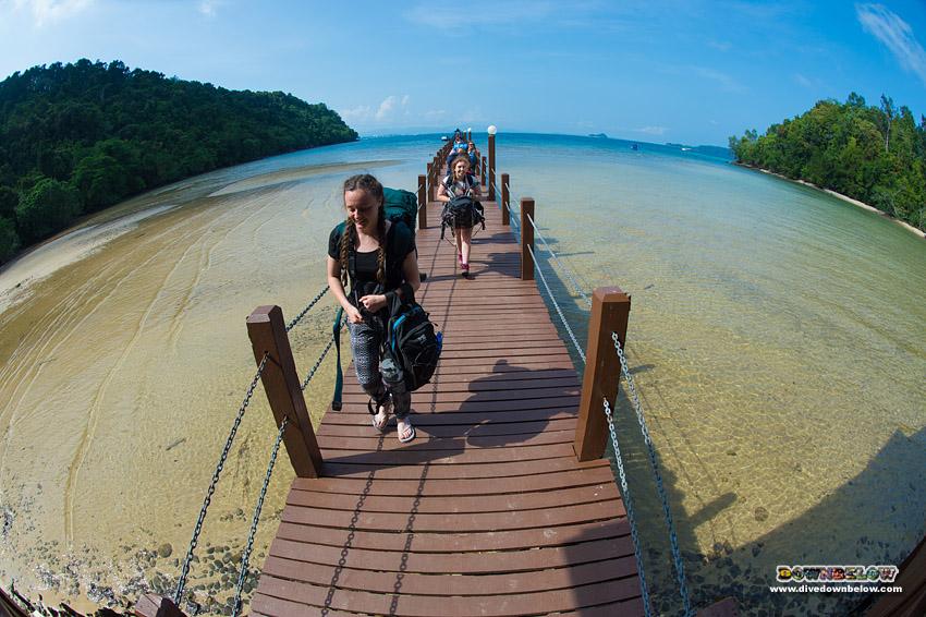 divedownbelow's tweet image. Enter @CampsInt grp #Tarsier @divedownbelow #paradise &amp;amp;D nxt 41 @PADI #DiveCourse participants #Adventure @CampBorneo