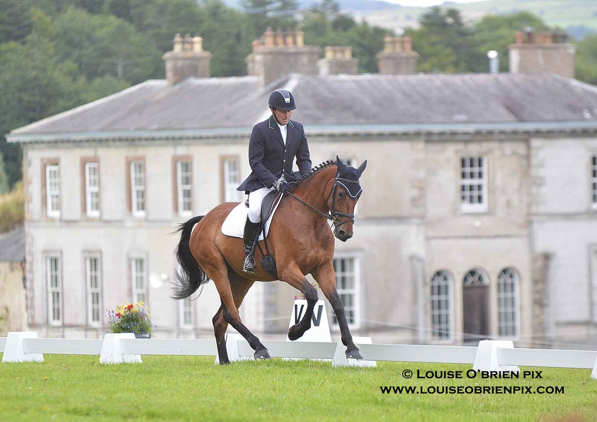 Irish Eventing Times tweet media