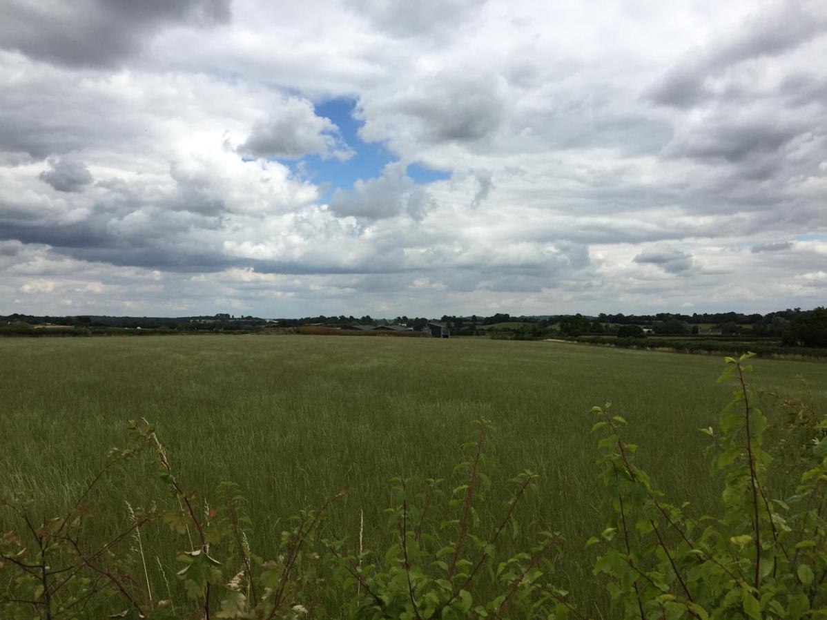 Enjoying the beautiful country side #wiltshire #countryside
