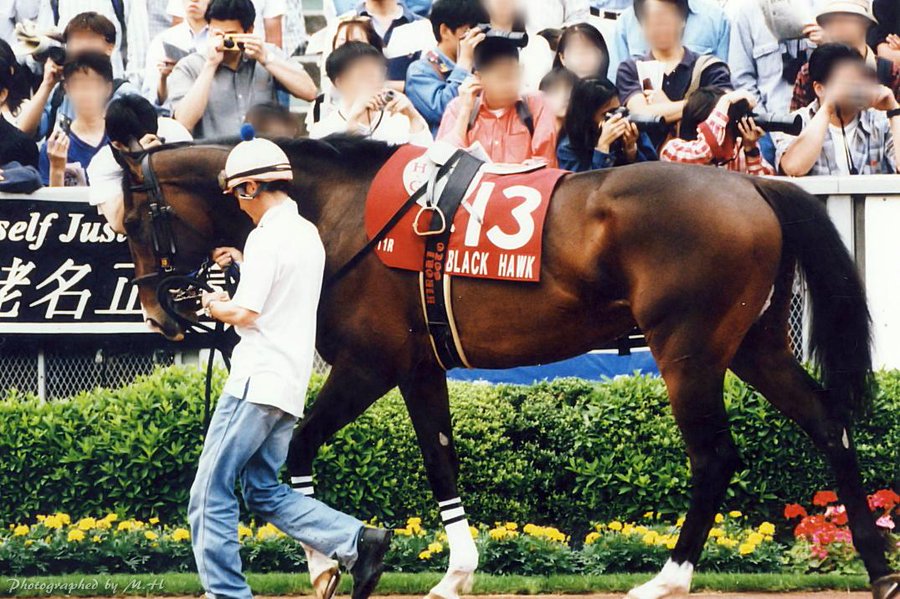 ブラックホークが心臓麻痺のため死亡 01年安田記念など重賞5勝