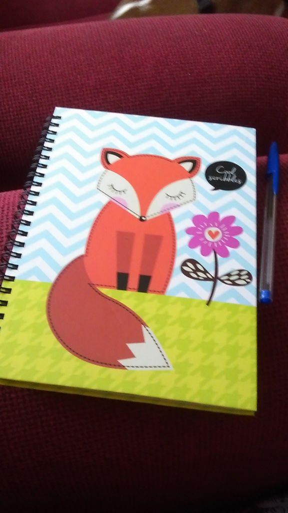 DanceSureya's tweet photo. Lovin my new dance journal recording training, goals and dances each week! Thank you @ArabesqueNights x #DanceIsLife http://t.co/hHekfDW4GO