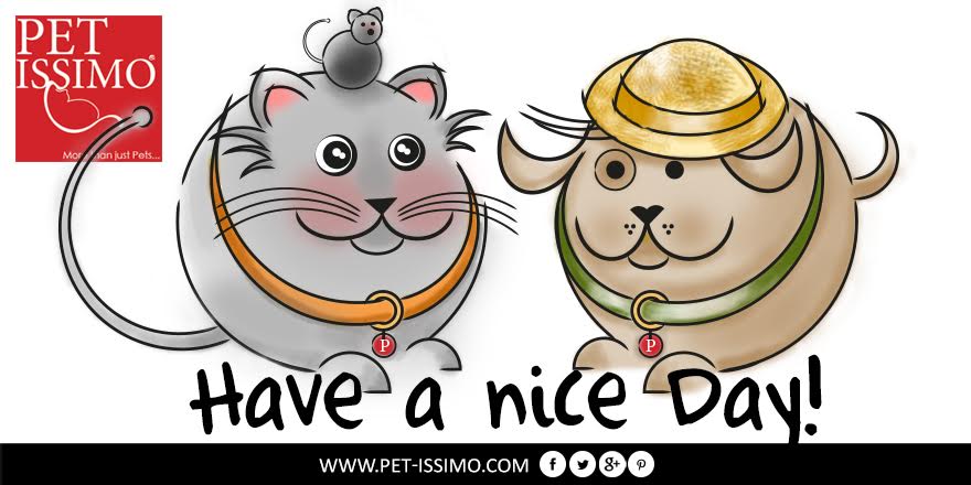 Petwissimo's tweet photo. Thank you and have a lovely day! @Becks_the_dog @6_Mutts @GateCityVet @DutchessSurgery @PetMedsCares http://t.co/Ozzat71S51