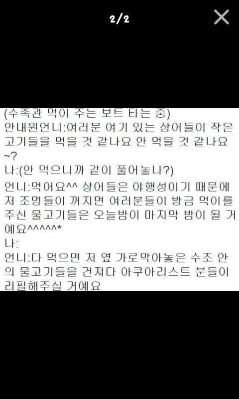 렙싸 tweet media