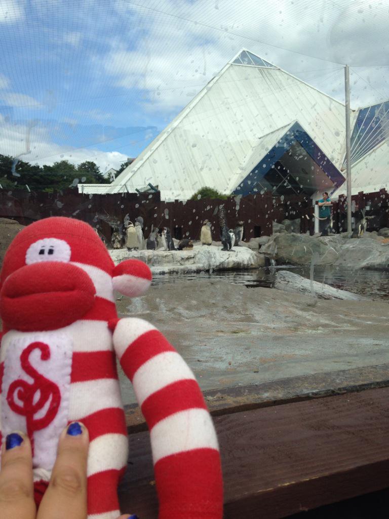 PartyMonkey2014's tweet photo. Penguins, sand castles and sunshine in Scarborough today :) @SEALIFEAquarium http://t.co/TIQWyjs8Jk