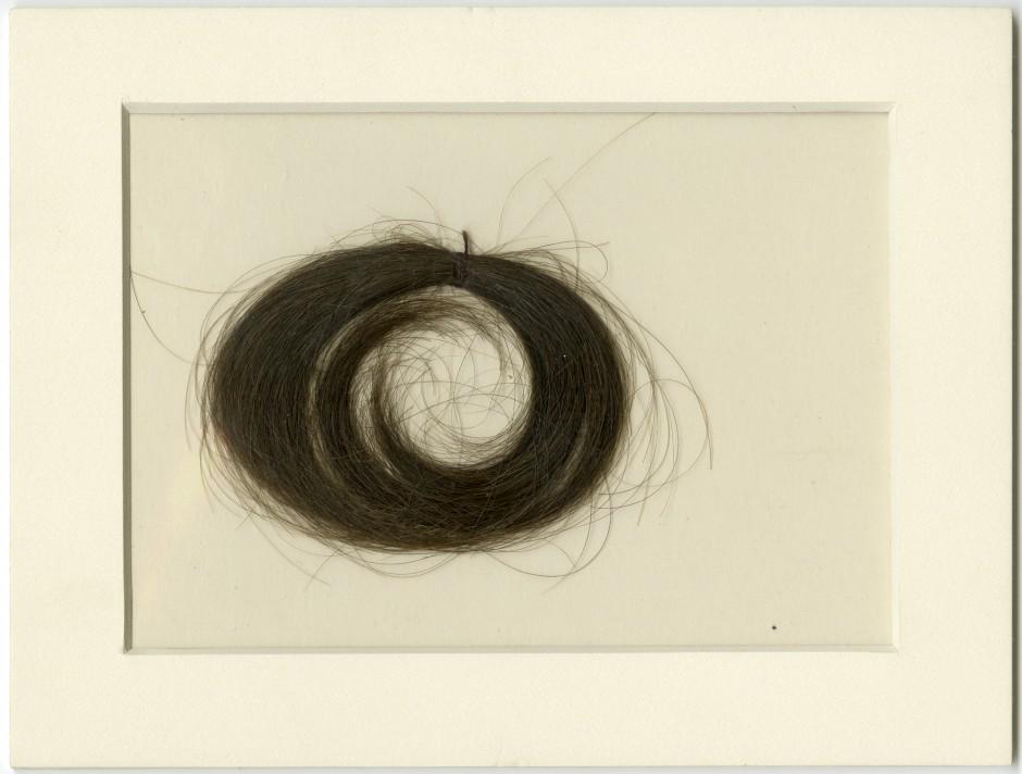 iulibraries's tweet image. RT @Viking_Lars7: @iulibraries #LillyLibraryIU featured on @wfiu "Dust to Dust;Hair to Heir."  ow.ly/PZg5u