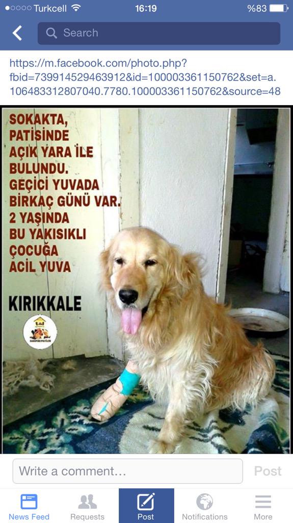 <a href="/hayvandostlar1/">HAYDOST</a> <a href="/HaytapOfficial/">Semtiemt</a> <a href="/Hayvist1/">HAYVİST</a> <a href="/haysevder/">HAYSEV</a> @hayvan_sahiplen <a href="/alemihayvan/">Alem-i Hayvan</a> <a href="/hayvanlar_icin/">Hayvan Severiz</a>