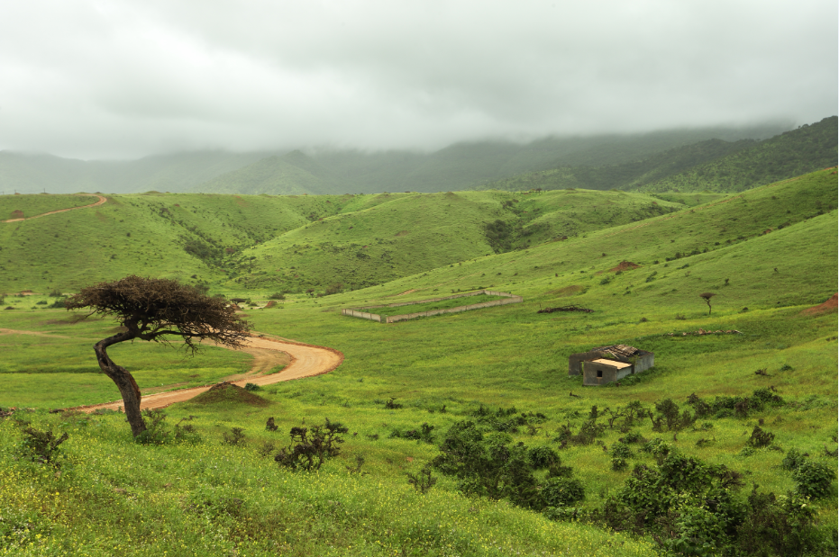 OoredooOman's tweet photo. Stay connected with our super fast 4G #HappyNetwork in Salalah! http://t.co/AOV9HRJU48
