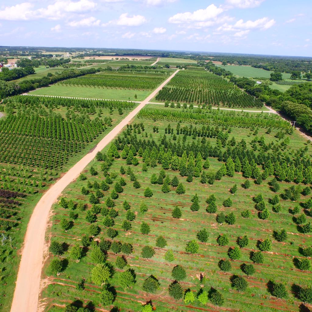 Dftrees's tweet image. We are excited to show #dftrees off this year at the #TNLA #expo #drone