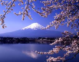 brentwallston's tweet image. Japan's Sketchy Climate Plan  @ roadtoparis2015.blogspot.com #cliimatechange #leaveitintheground #COP21 #climatejustice2015