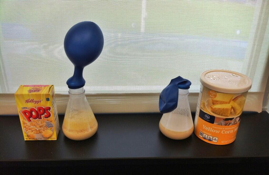 Looking for a bioenergy activity for youth? See ours:
tnstate.edu/faculty/jdekof…
<a href="/TNFFAFoundation/">Tennessee FFA Foundation</a> <a href="/ENERGY/">U.S. Department of Energy</a> <a href="/4H/">4-H</a> <a href="/Teach_Ag/">Teach Ag</a>