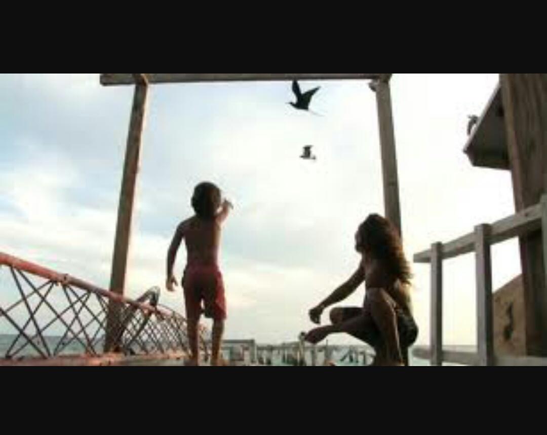 mssyeahoyeah's tweet photo. Viendo el peliculón que están echando en @SundanceChannel #Alamar. Gran descubrimiento filmográfico el de esta tarde. http://t.co/k1woB6ejvn