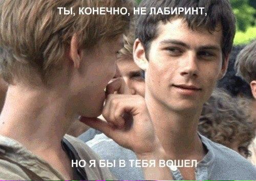 finlovesunicorn's tweet photo. Всегда ору с етой картиночки
My #TeenChoice for #ChoiceMovieChemistry is #DylanAndThomas from @MazeRunnerMovie http://t.co/FH3nGCUOX0