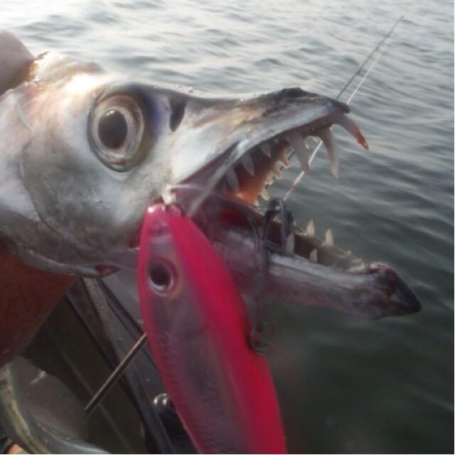 legocrusader's tweet photo. Things that lurk in the deep. #tbt
#throwback #throwbackthursday #ribbonfish #operationfish http://t.co/eejYbVift1