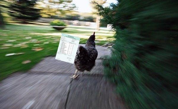 Alex0wn's tweet photo. når mamma spør om å få se på vitnemålet mitt http://t.co/7kJxdUphje