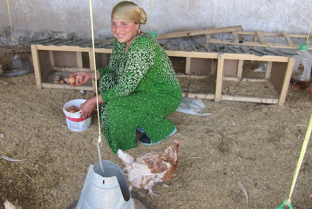 UNDP's tweet image. Only 30% of #Tajikistan's businesses are women owned? How do we change this? on.undp.org/PXA1p #Innov4Dev