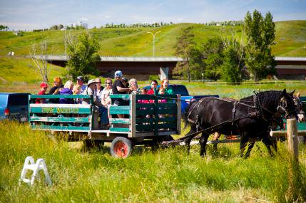 Join one of the teamsters in a Whoop-Up Wagon ride @fortwhoopup #mybadlands #yql ow.ly/PsxI6