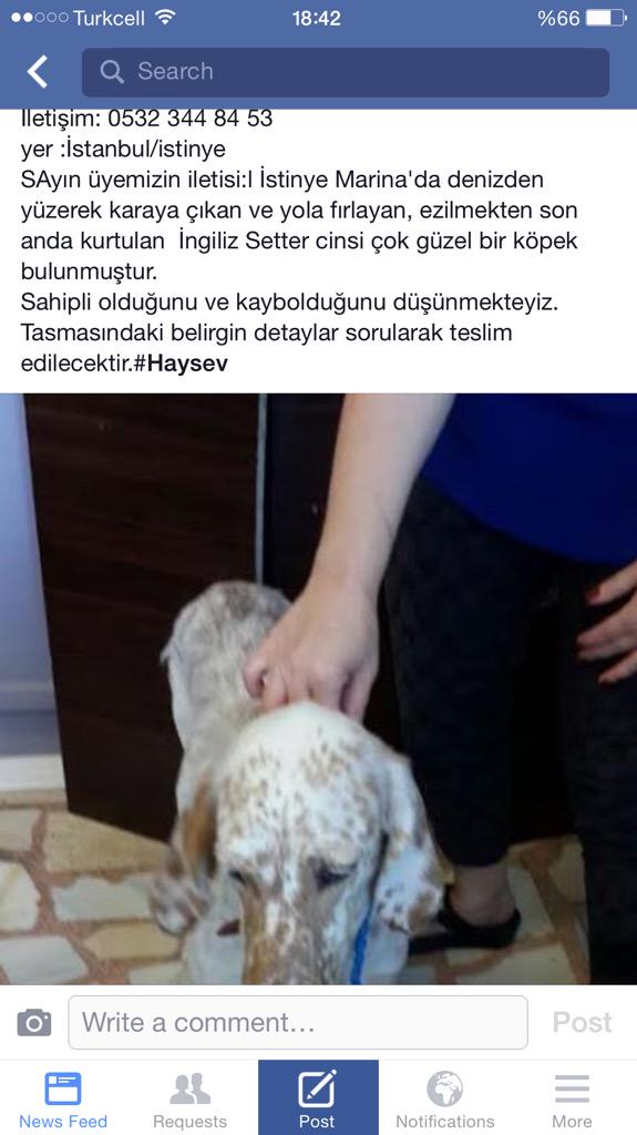 <a href="/HaytapOfficial/">Semtiemt</a> <a href="/Hayvist1/">HAYVİST</a> <a href="/basakoklu/">puantiyeli kedi</a> <a href="/yunusserit/">yunus serit</a> <a href="/pelincini/">pelincini</a> <a href="/esraca/">AYSESRA♋</a> @kayipkopek