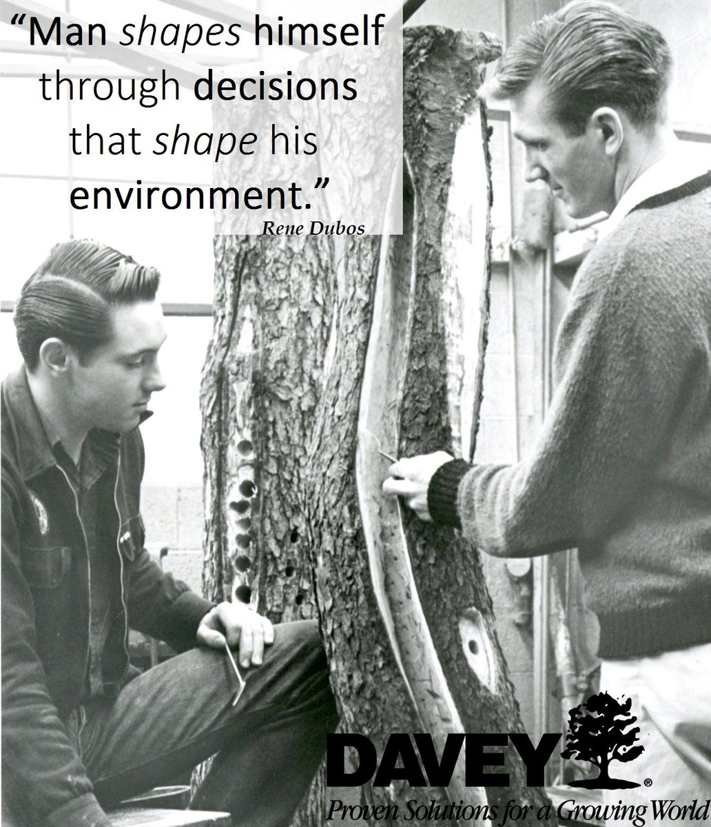 DaveyTree's tweet photo. “Man shapes himself through decisions that shape his environment.” Rene Dubos #Quote #TBT #TreeDoctors http://t.co/OLTa8Smdge