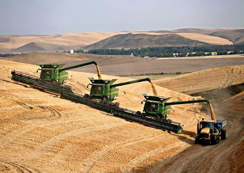 TheChadColby tweet picture