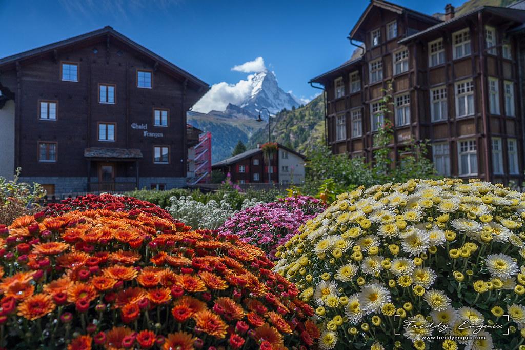 Global Peace Index: la Svizzera è il paese più sicuro al mondo