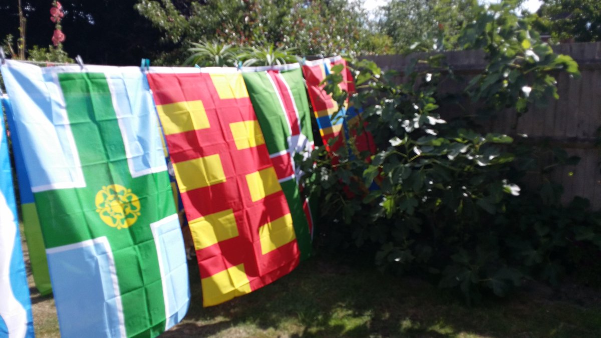 BriCoFlags tweet media