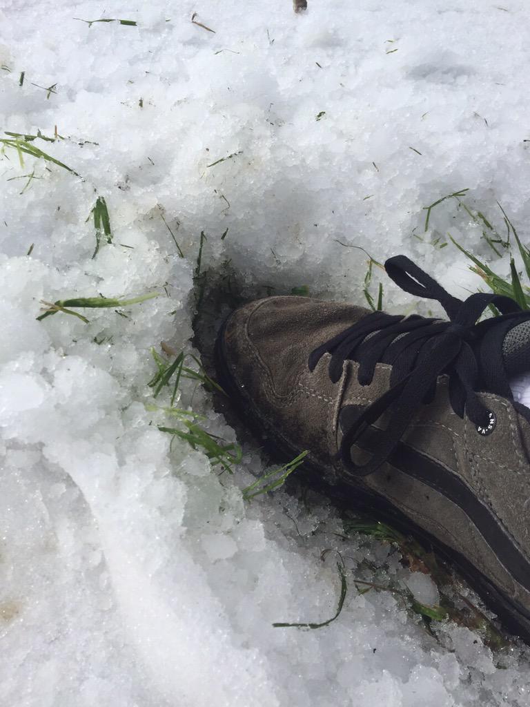 North of Lacombe, AB - hail storm from 36 hours ago. Simply awestruck by the damage to crops and property.