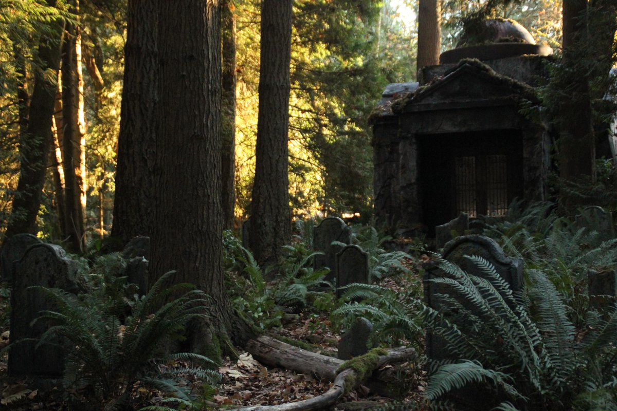 #WaywardPines favorites #productiondesign <a href="/chad_hodge/">Chad Hodge</a> <a href="/blakecrouch1/">Blake Crouch</a> <a href="/MNightShyamalan/">M. Night Shyamalan</a> #lastlooks