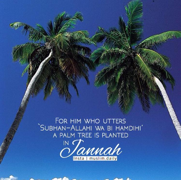 IslamicQuotess's tweet photo. SUBHAN-ALLAHI WA BI HAMDIHI 

photo by @MuslimDaily_ http://t.co/NjRlF5Lix0