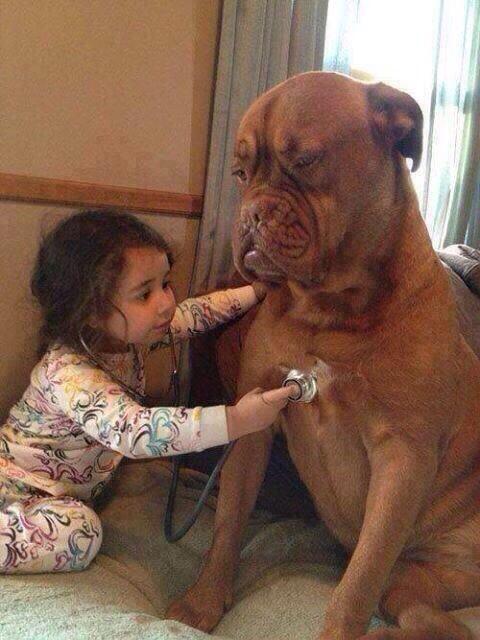 _Paisajes_'s tweet photo. Tu problema es que tienes el corazón muy grande...❤️ http://t.co/cQj8VAuTDF