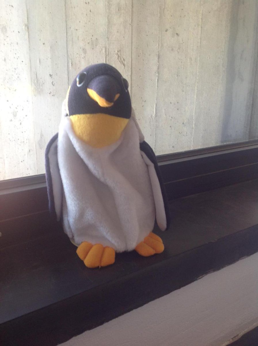_robertopomo's tweet photo. Mi avevano detto: il tuo ufficio è caldo ci vorrebbe almeno un pinguino. Mi avevano detto. #fuoridalcomune http://t.co/F2Z5vnq8GQ