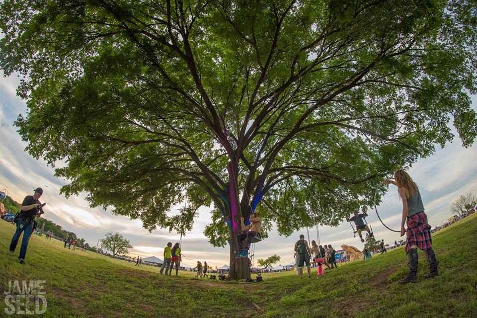 euphoriafest's tweet photo. We are all dreamers with our roots in the Earth, and our hearts to the sky. #TBT #EMCF15 #quotes http://t.co/o6xMUWn4ds