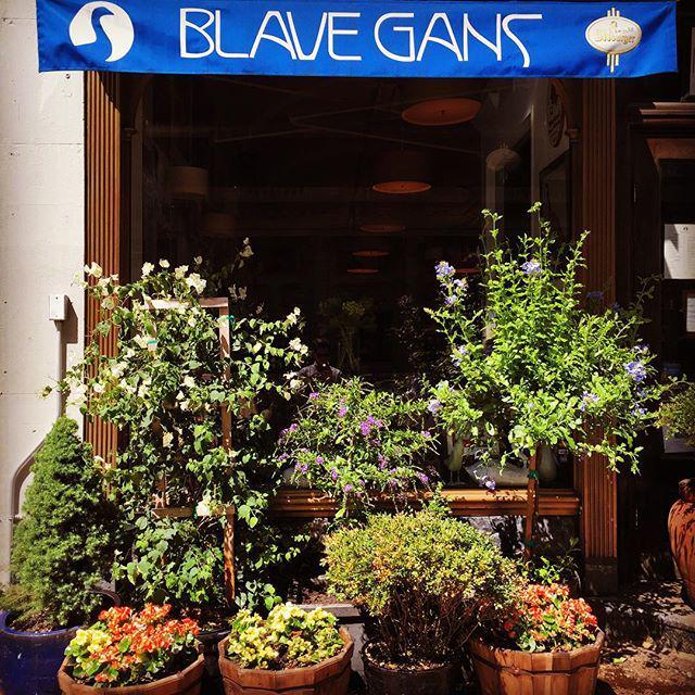 BlaueGansNYC's tweet photo. It's a gorgeous day in #tribeca and we're open ALL day long! #happyhour is just around the corner! #nycfood #draaaa… http://t.co/eEODf2MyEI