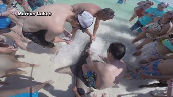 Watch: Beachgoers rescue Hammerhead Shark wowt.com/home/headlines…