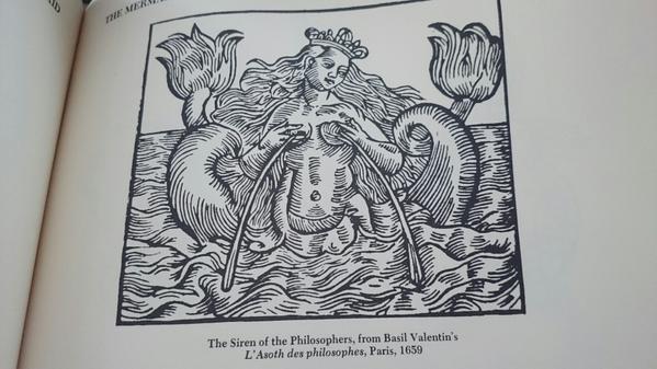 Was going through a fantasy bestiary and found that starbucks logo siren... and that's where your coffee comes from. 