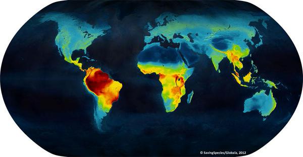 Biodiversity world map
-