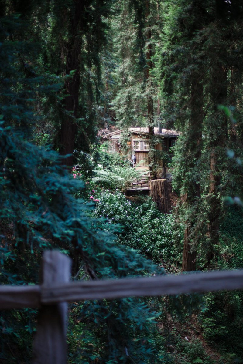 NEW BLOG POST: "Big Sur &amp; San Simeon Birthday Trip (Photo Travel Diary - Part 1) - Link: bit.ly/1OoHb0Q -