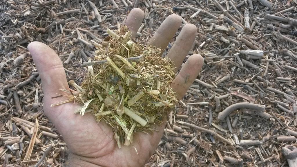 Xa estamos traballando na vindeira campaña!. Facendo compost cos refugallos dos nosos viñedos para alimentar as cepas