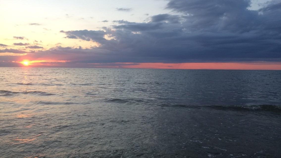 UchuChannel's tweet image. ¡Ballenitas! Durante agosto subiremos pequeños vídeos individuales de nuestras vacaciones, ¡el mío será algo así! -W