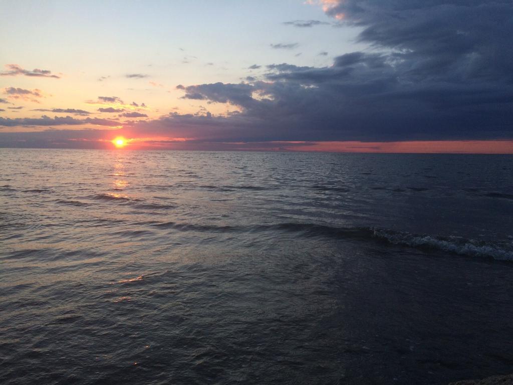 UchuChannel's tweet image. ¡Ballenitas! Durante agosto subiremos pequeños vídeos individuales de nuestras vacaciones, ¡el mío será algo así! -W