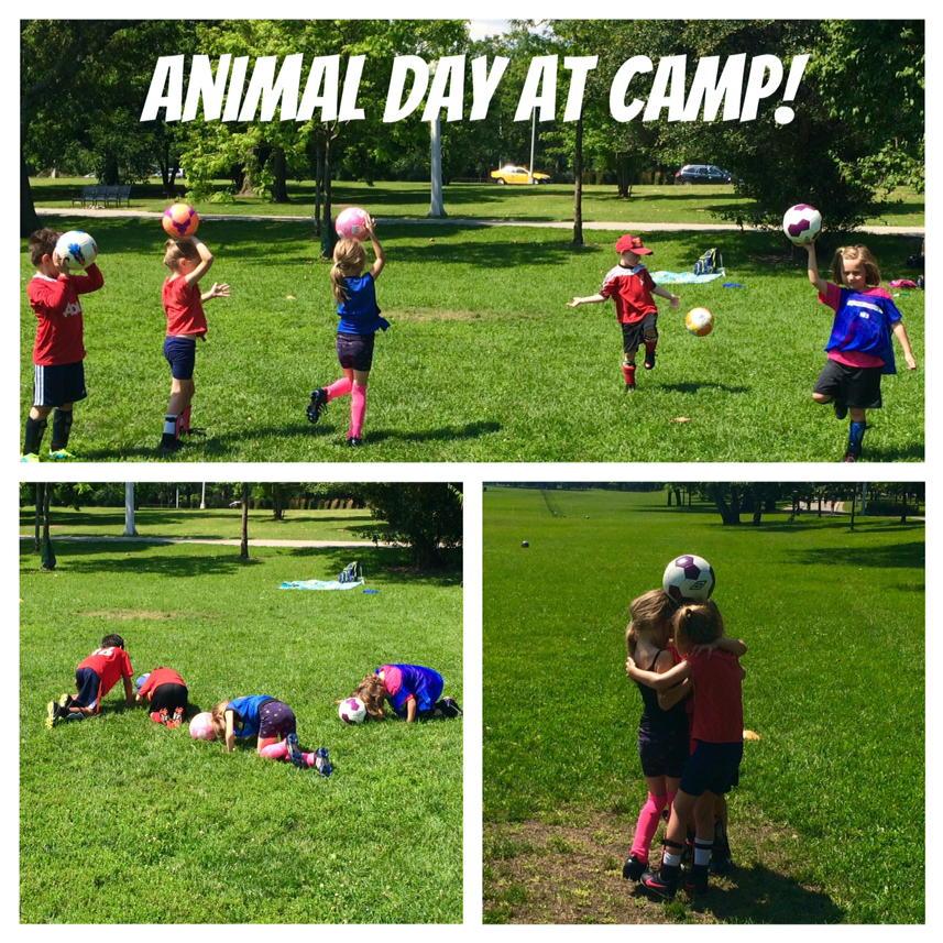 CoachKellyP's tweet photo. Animal day at camp today with the 5 &amp; 6 year olds! #flamingo #turtle #bodypartsgame #SITC http://t.co/WEFSvJWykK