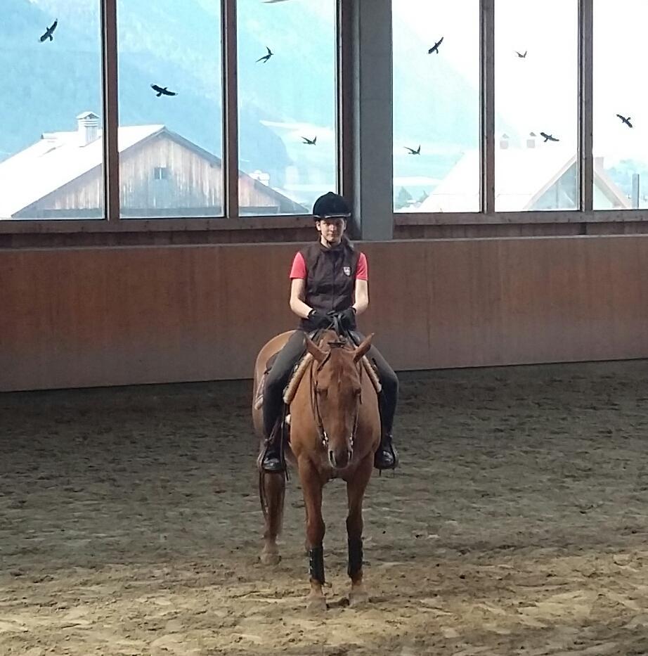 resibesi2's tweet photo. I belive I can ,,FLY 🐴 " #WESTERN http://t.co/a7tDDJeSHq
