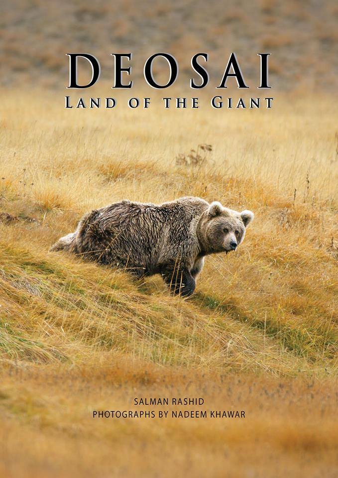 Gilgit_B's tweet photo. The #Deosai_National_Park was established in 1993 to protect the survival of #Himalayan_brown_bear and its habitat. http://t.co/muiEF4y9Xv