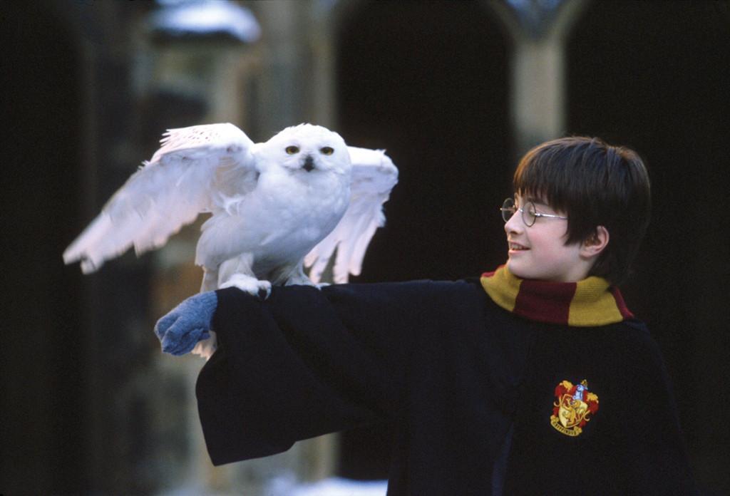 Happy birthday Daniel Radcliffe! They grow up so fast...time for a trip down memory lane:  
