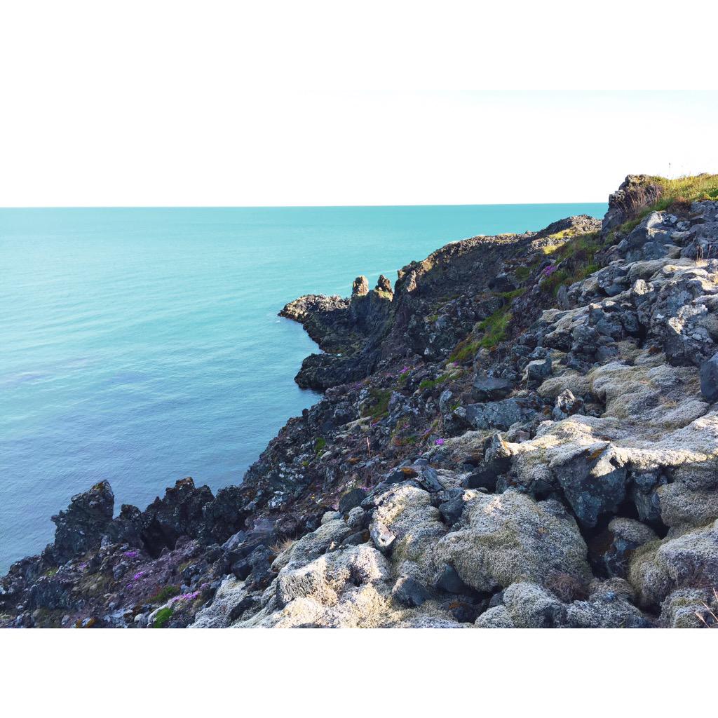meeraleepatel's tweet image. climbed these incredible cliffs at #Arnarstapi today, so many colors to take in. #iceland