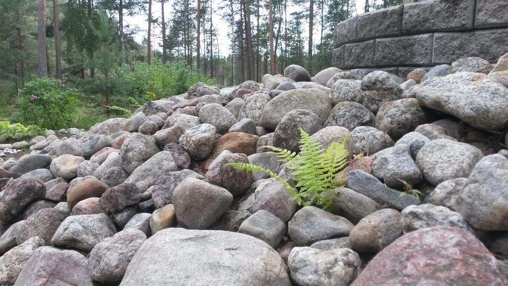 Upotetun kuvan pysyvä linkki