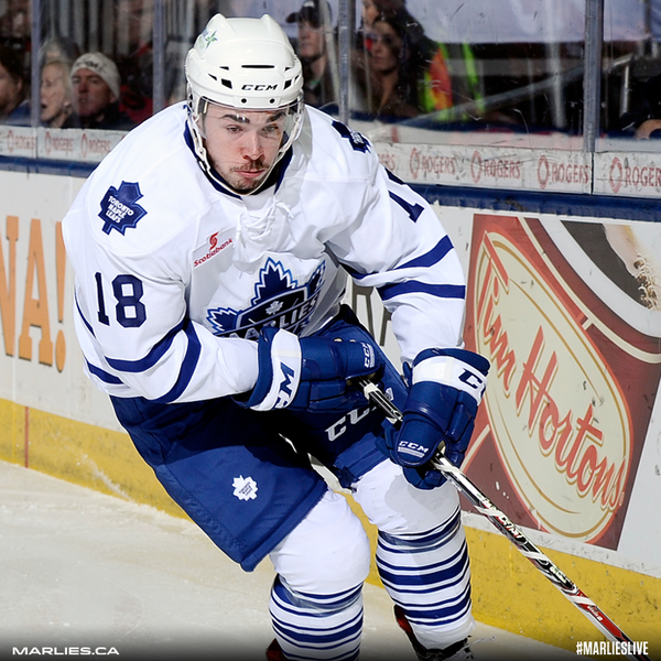 TorontoMarlies tweet picture